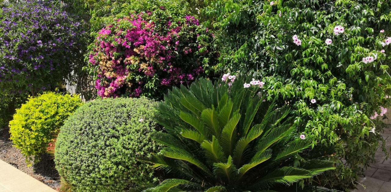 Villa Elena In อาร์กากา ภายนอก รูปภาพ